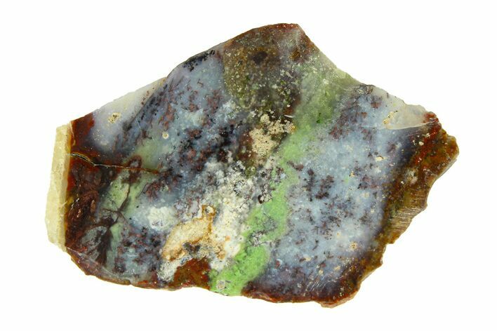 Polished Colorful Agate Section - Java, Indonesia #293389